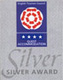 silver award
