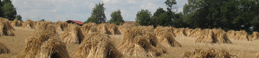 bales