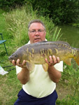 Mirror carp